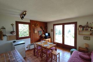 Beautiful apartment near the slopes of Megève - Megève - 8