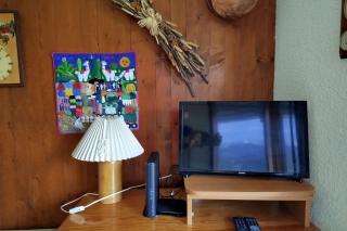 Beautiful apartment near the slopes of Megève - Megève - 1