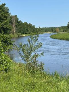 Siedlisko nad Wieprzem - Kośmin - 5