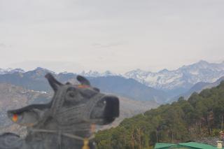 Shivalik Dharohar ,barkot - - 9