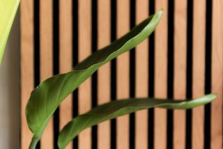 Parco della Vittoria tra mare, stile e relax - 3