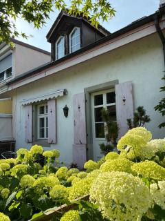 Comfortable charming house near the river - Basilea - 0