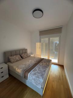 Apartmani Odmor - Podgorica - 0