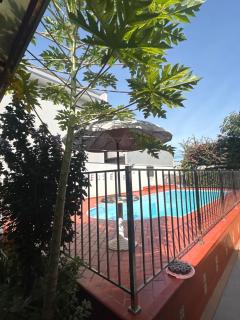 Pousada e Hotel Italian Garden House - Campo Grande - 9