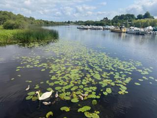 Scenic River Shannon Three bedroom house - Carrick on Shannon - 3