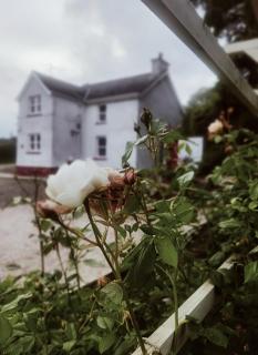 The Home House - Plumb Bridge - 0