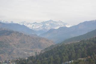 Shivalik Dharohar ,barkot - - 3
