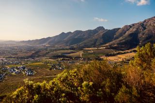 Roubaix House - A Heritage Retreat in the Heart of Franschhoek - Franschhoek - 2