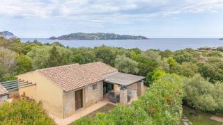 Punta Molara, Garden and Terrace, 900m from the Sea - Punta Molara - 9