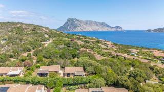 Punta Molara, Garden and Terrace, 900m from the Sea - Punta Molara - 1