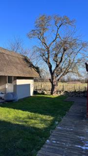 Reethuus Fehmarn with fireplace and sauna - Fehmarn - 7
