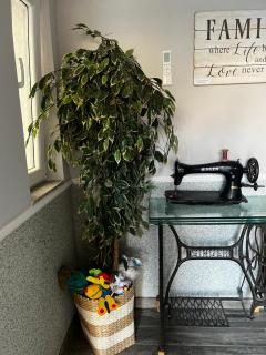 Family Apartment - 4