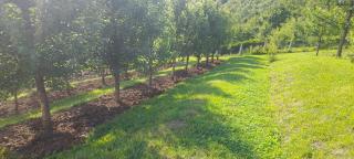 Kuća za odmor Plivska Jezera - Jajce - 4