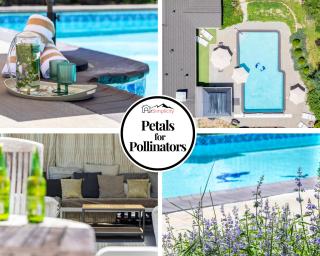 Heated Pool Bbq Cabana Gardens - Denver - 0