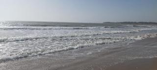 MANGROVE BEACH - Sanyang - 3