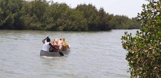 MANGROVE BEACH - Sanyang - 4