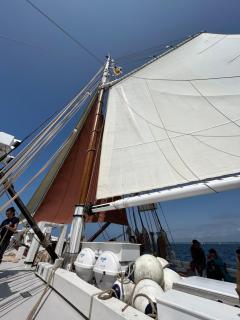 La Petite Mer - Riantec - 5
