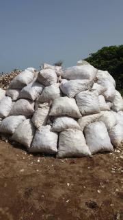 MANGROVE BEACH - Sanyang - 7