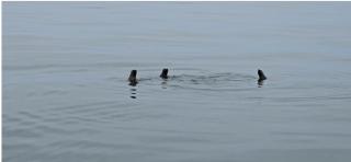 D'Marlene Self-Catering - Walvis Bay - 7