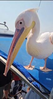 D'Marlene Self-Catering - Walvis Bay - 1