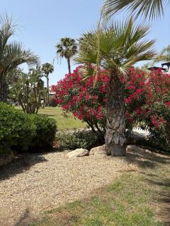 Apartamento en primera línea de playa Jardines de Nuevo Vera, Vera Playa, Almeria - 7