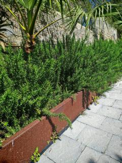 Villa al Plemmirio Luxury - Plemmirio - 1
