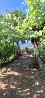 Quinta De Calvelos - Vieira do Minho - 9