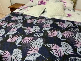 Hostal Almagro - Quito - 1