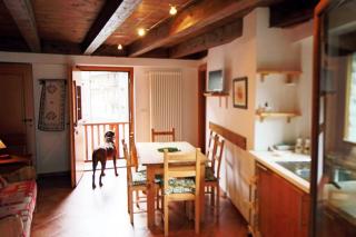 Champex Apartments - Pré-Saint-Didier - 8