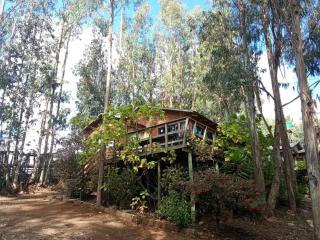 Hacienda Ecuestre - 2