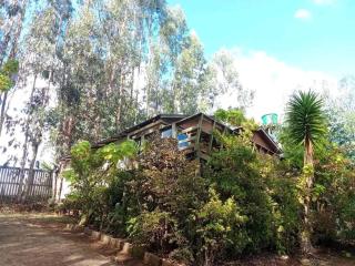 Hacienda Ecuestre - 9