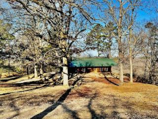 Buffalo Cabin Gorgeous Illinois River view - Tahlequah - 8