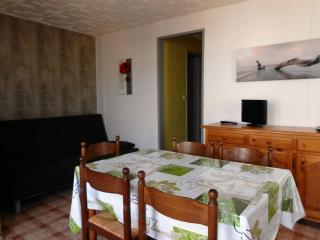 Chalet climatisé 5 personnes Gruissan plage - Gruissan - 6