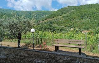 Awesome Home In Sessa Cilento With Wifi - Sessa Cilento - 6