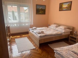 Fagyöngy - Sárvár - 1