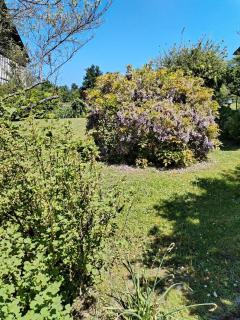 Les Bonnebosquaises - 8