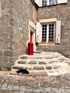 Manoir des Comtes - Confolens - 9