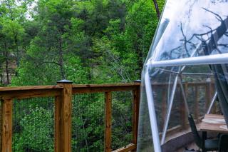 The Canyon at Pond Creek - Pikeville - 2