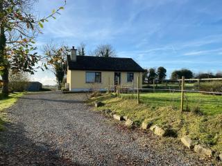 Tranquil rural cottage - Killashandra - 9