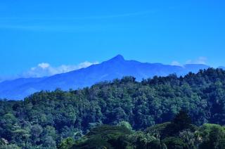 Kandyan White Holiday Homes - Kandy - 7