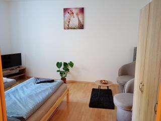 Apartmán Trencan FREE PARKING CITY CENTRE - Trenčín - 1