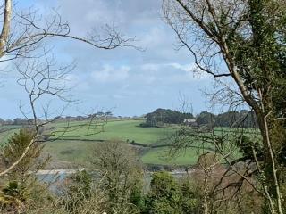 Charming Cottage nr Helford River, large garden, - Saint Anthony - 5