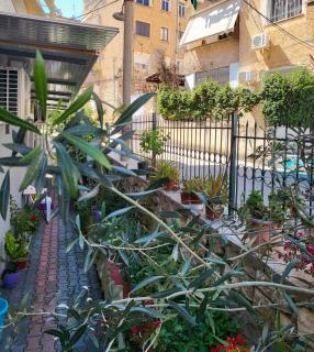Hidden Garden Escape - Saranda - 5