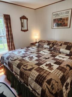 Moose Riverside Bungalow 3BR Home Old Forge NY - Old Forge - 1