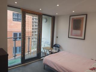 Ensuite Room in Canary Wharf Shared Apartment - Londra - 5