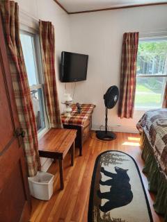 Moose Riverside Bungalow 3BR Home Old Forge NY - Old Forge - 2
