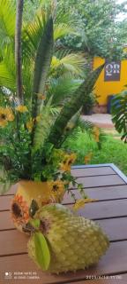 Quinta Rosita - Ticul - 8