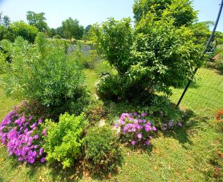 Apartman Marija - Barban - 1