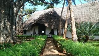 Villa con baobab e piscina - 0
