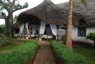 Villa con baobab e piscina - 7